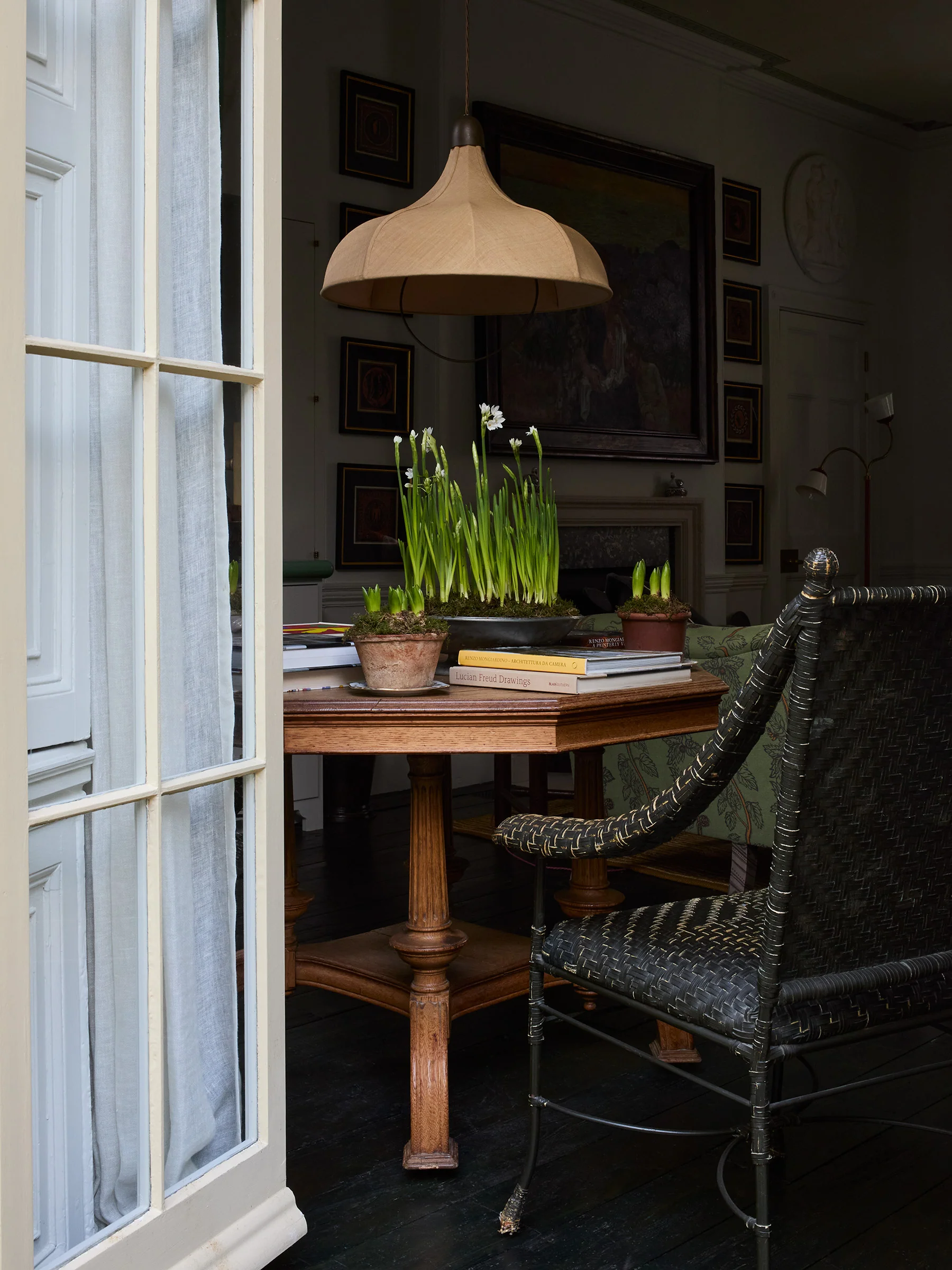 Brass Snowdrop Rise and Fall Light - Image 5