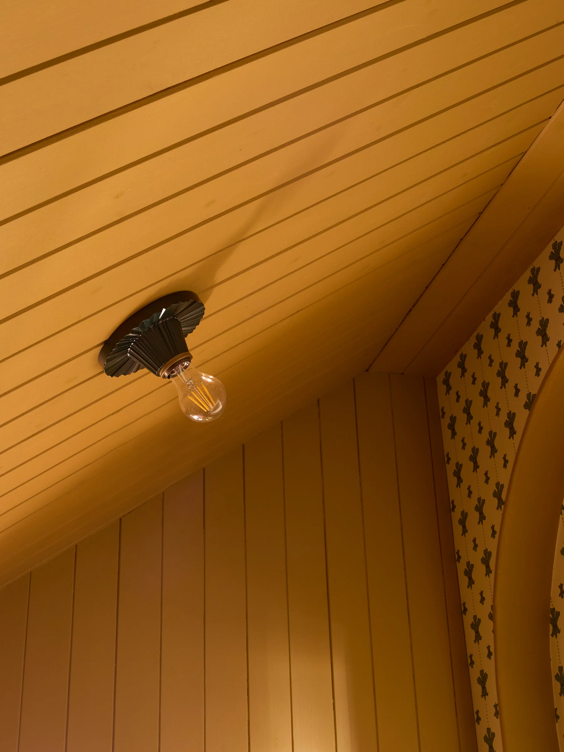Crinkle Light Cavolo - Image 7