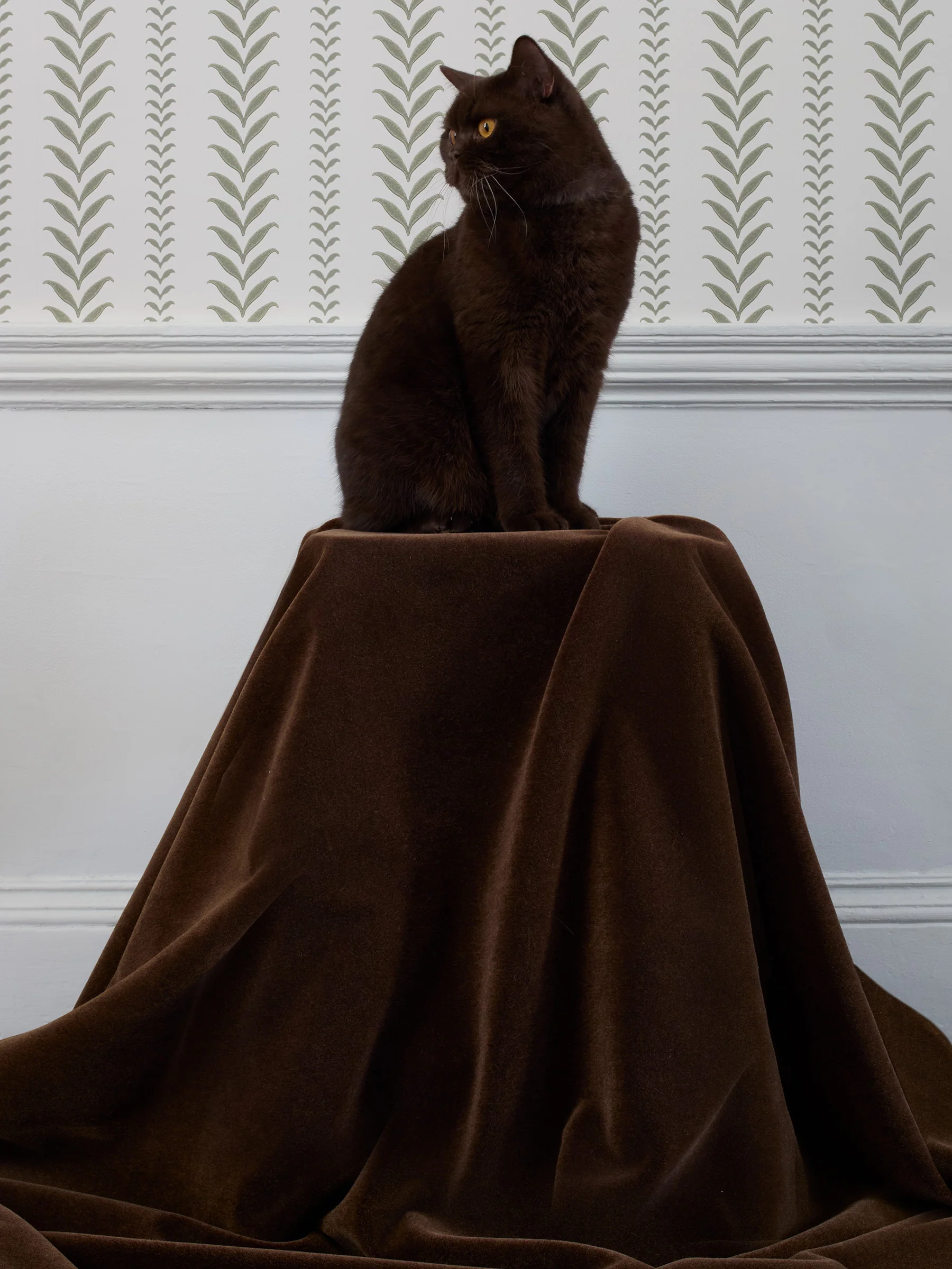 Mohair Disco - Image 2