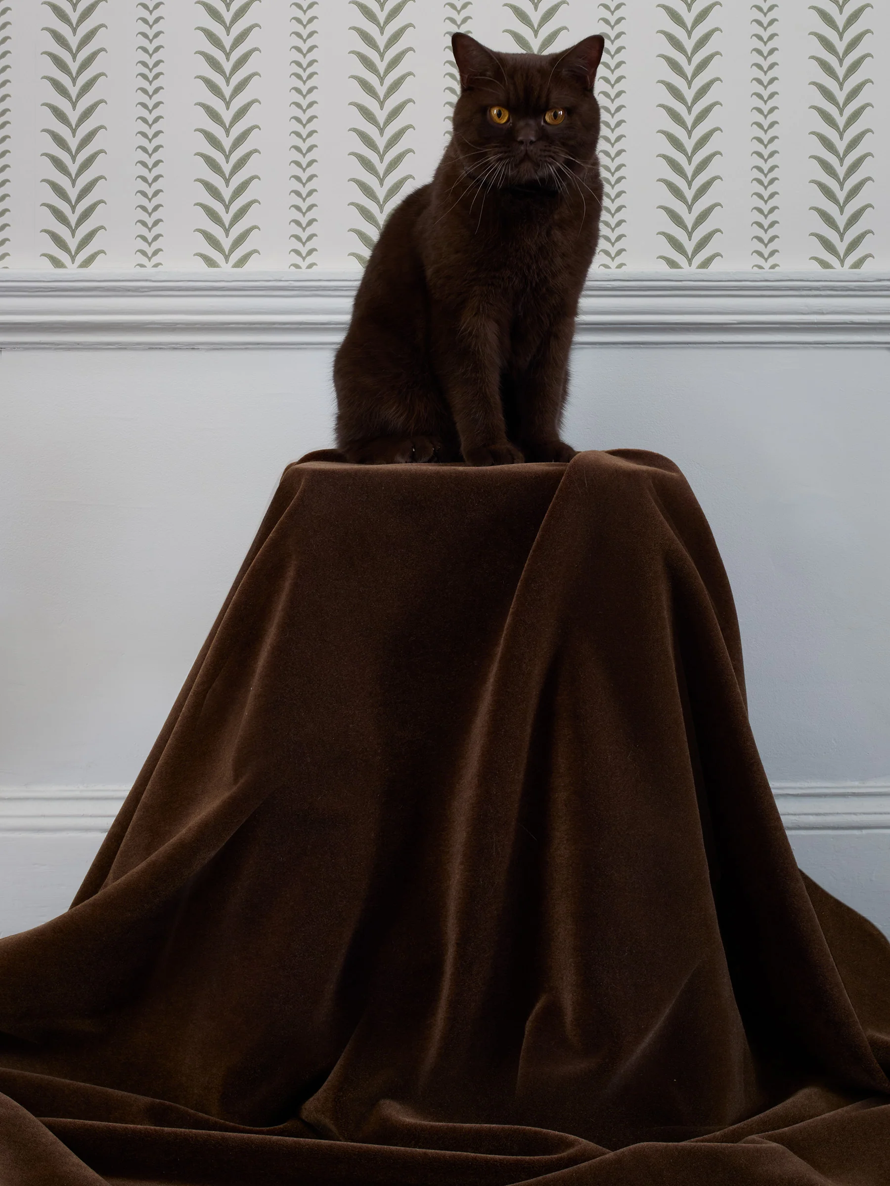Mohair Disco - Image 7