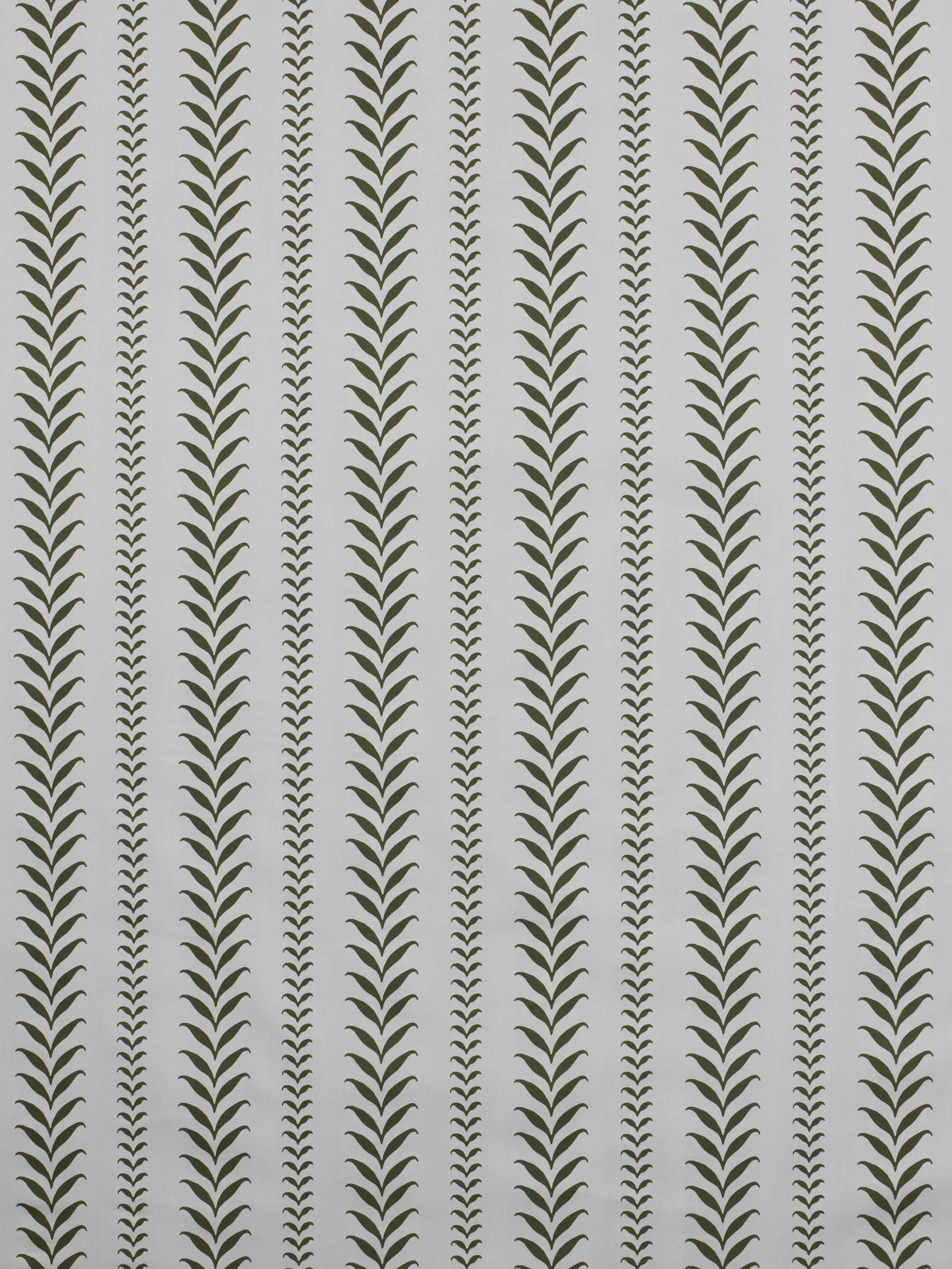 Linden Fancy Lining