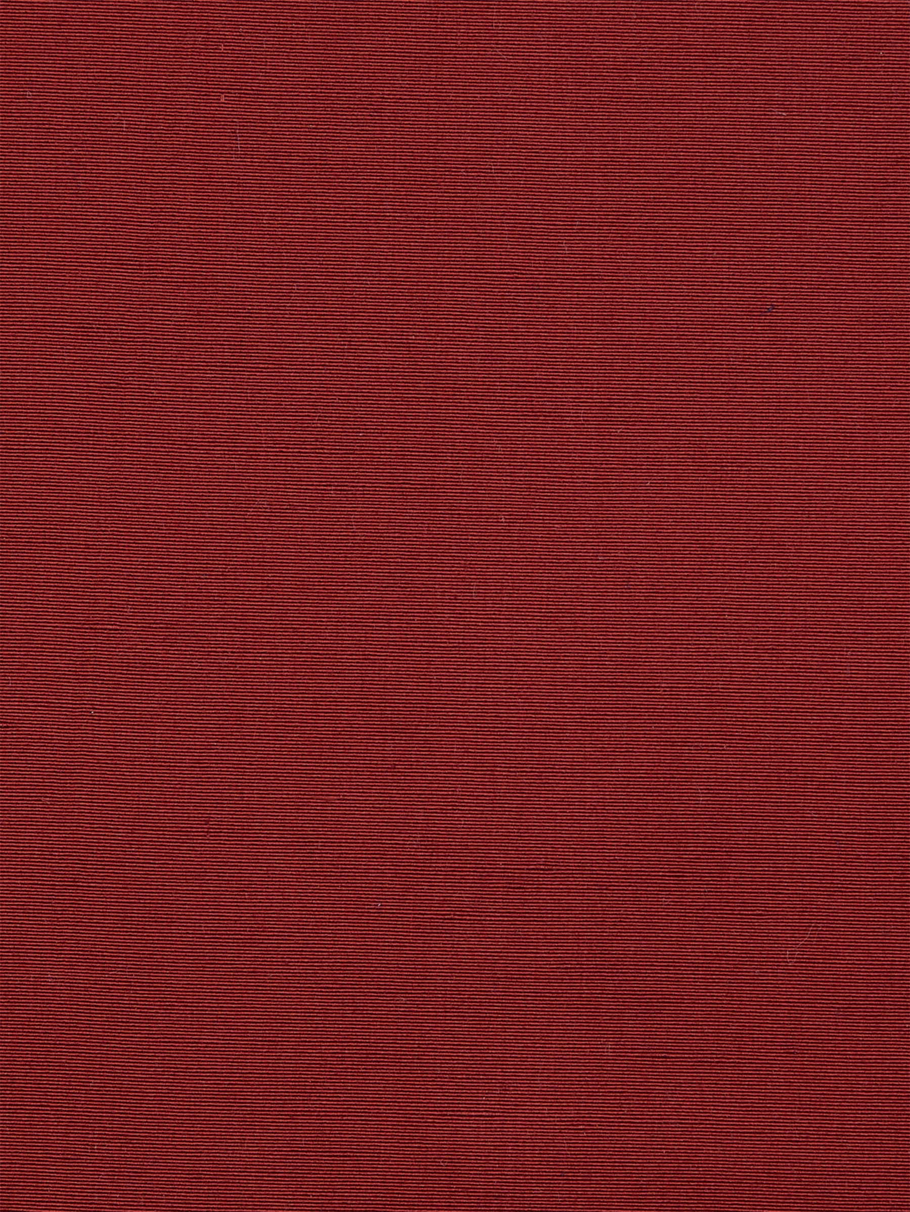 Parchment Berry - Image 4