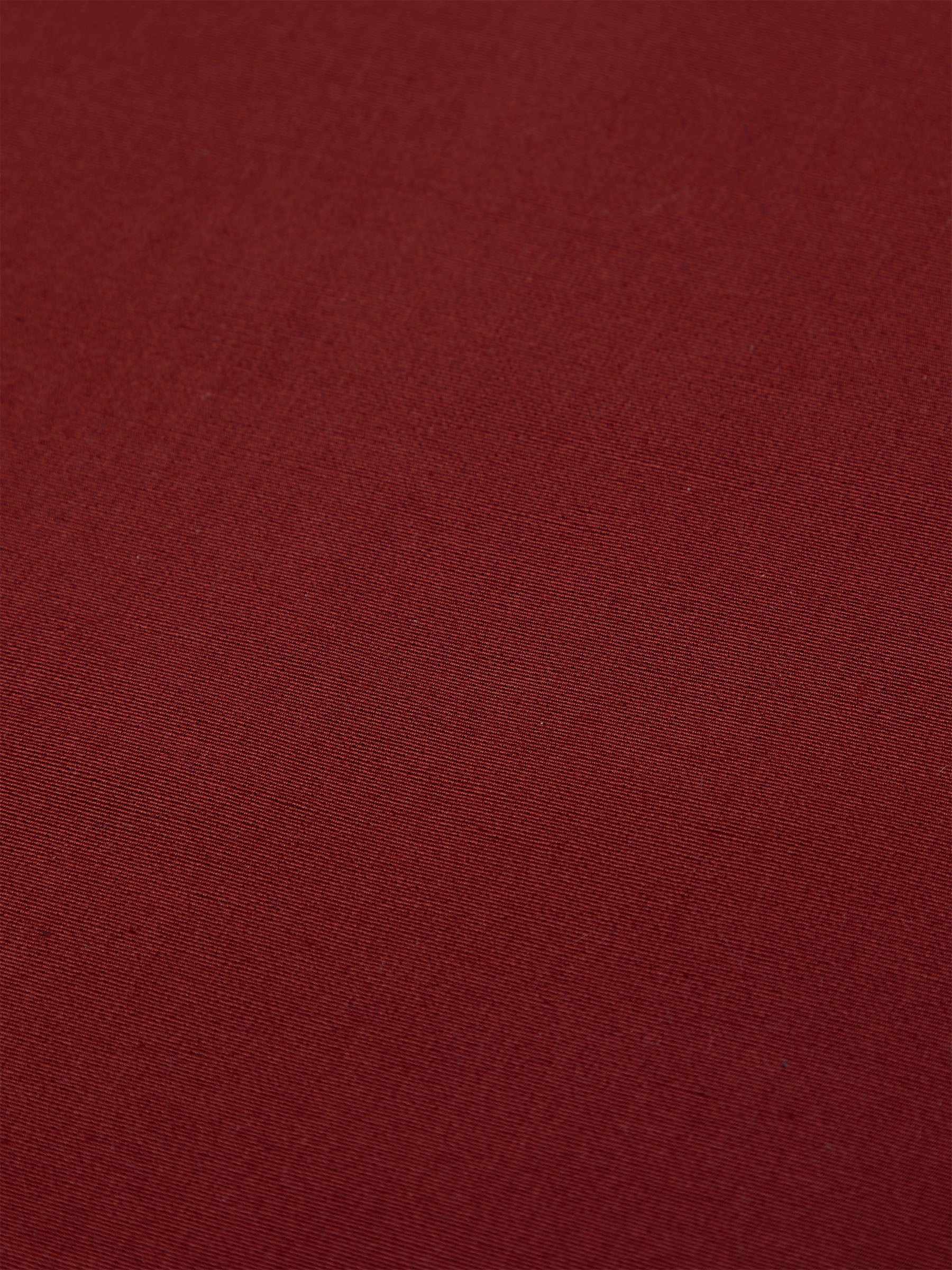 Parchment Berry - Image 5