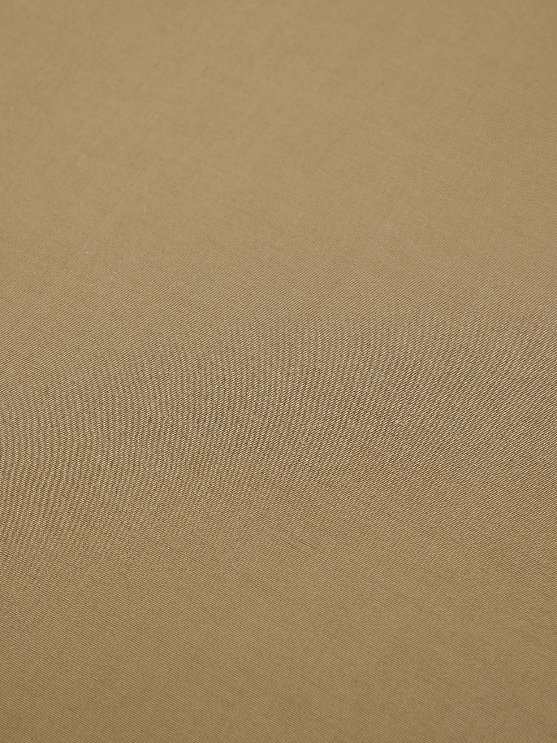 Parchment Cardboard - Image 4