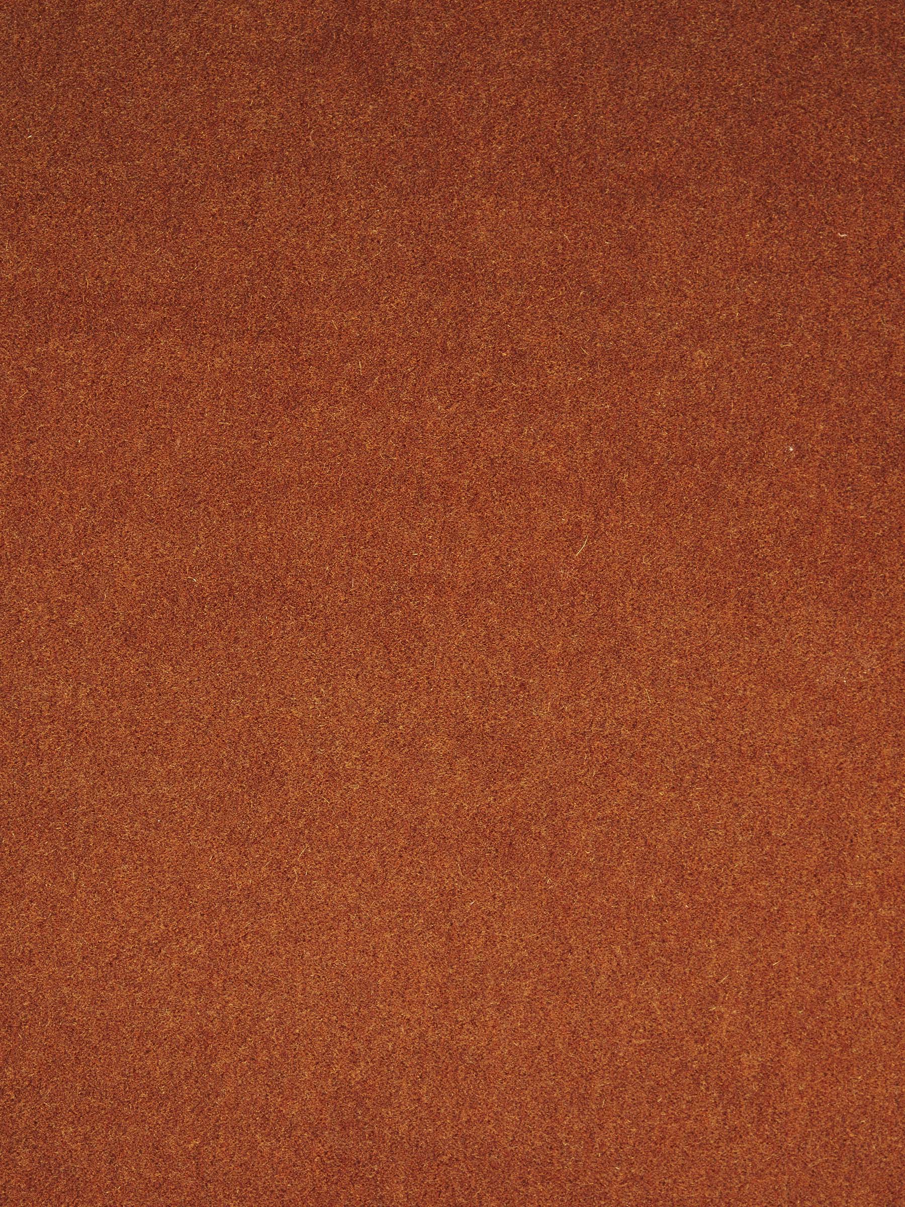 Sample - Image 43