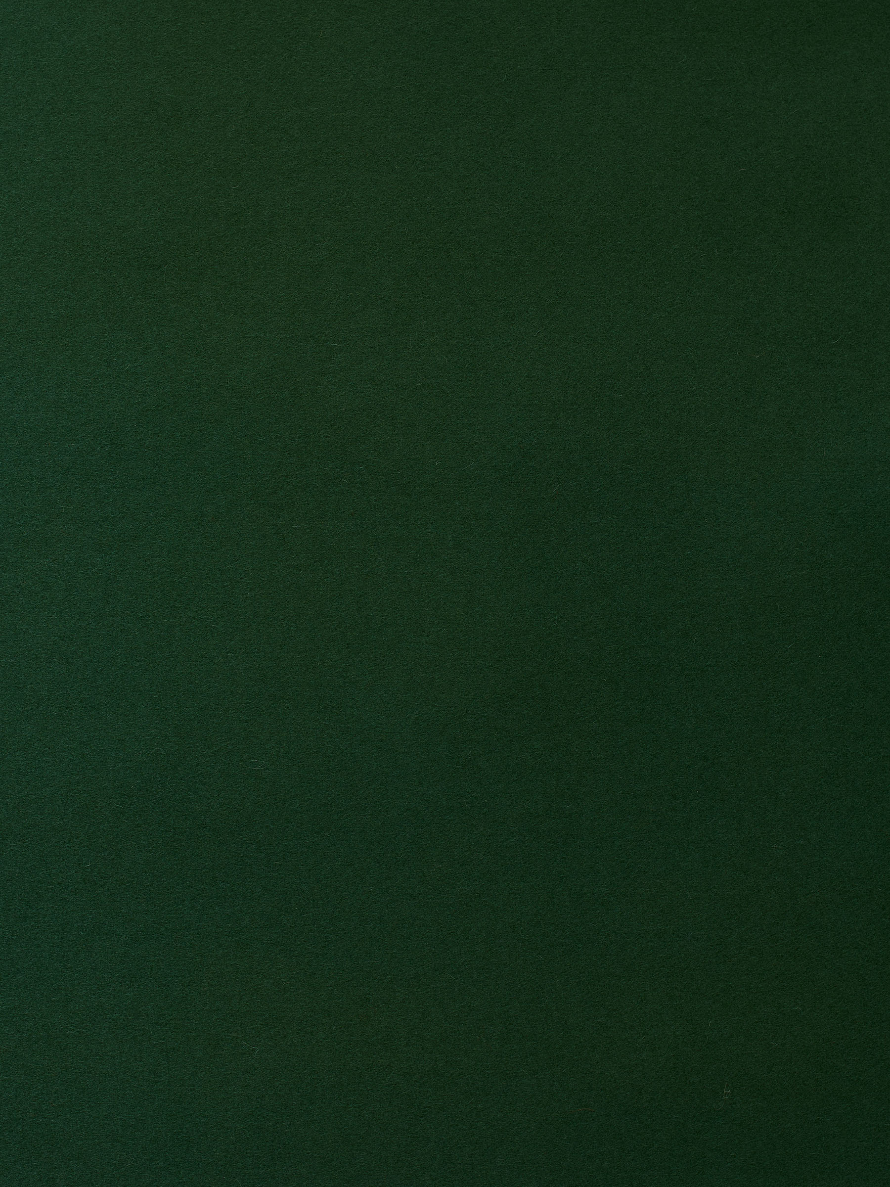 Wool Baize - Image 4